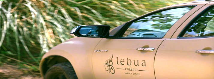 2528/lebua - Jim Corbett National Park 22.jpg